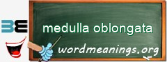 WordMeaning blackboard for medulla oblongata
